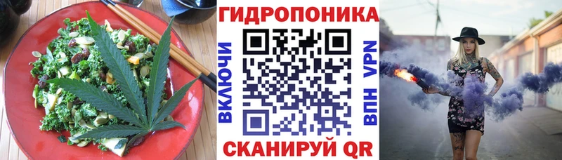 купить закладку  Фрязино  Печенье с ТГК марихуана 