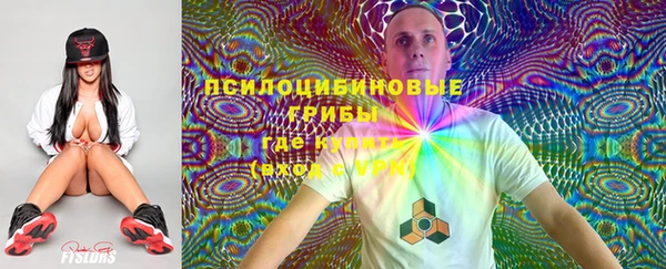 крисы Балабаново