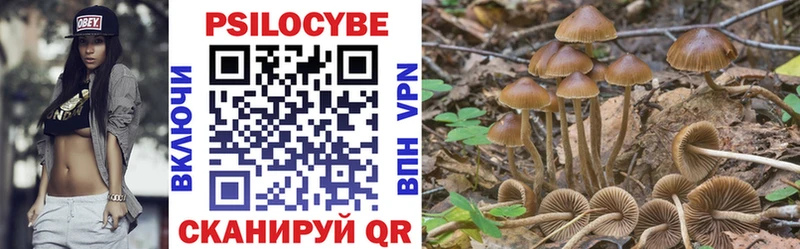 хочу наркоту  Фрязино  Псилоцибиновые грибы Cubensis 